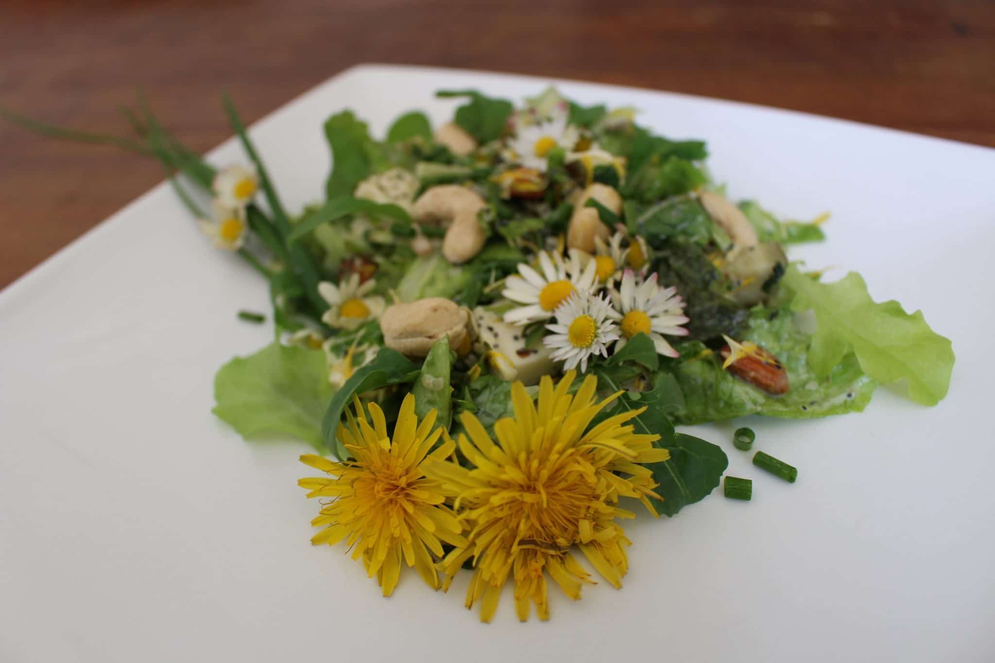 Bloemen op het menu? Lekker fris, gezond en ook nog eens gratis! Paardenbloem – onkruid? Wat veel mensen niet weten is dat paardenbloemen eetbaar zijn. Daarnaast zijn ze ook nog eens voor je gezondheid! De paardenbloem bevat veel vitaminen (B, C, D, E) en mineralen zoals kalium, natrium, magnesium, koper, zink, ijzer en calcium. Onderzoek…